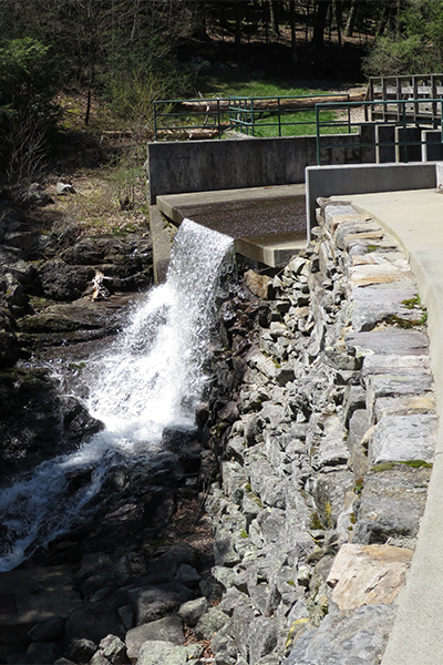 Falls at Green Fall Pond, Connecticut