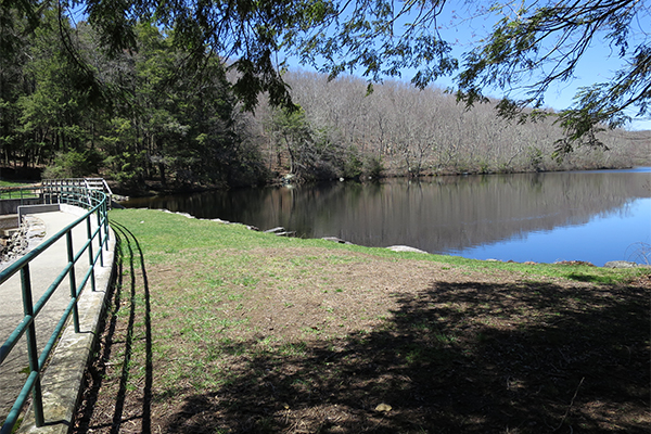 Falls at Green Fall Pond, Connecticut