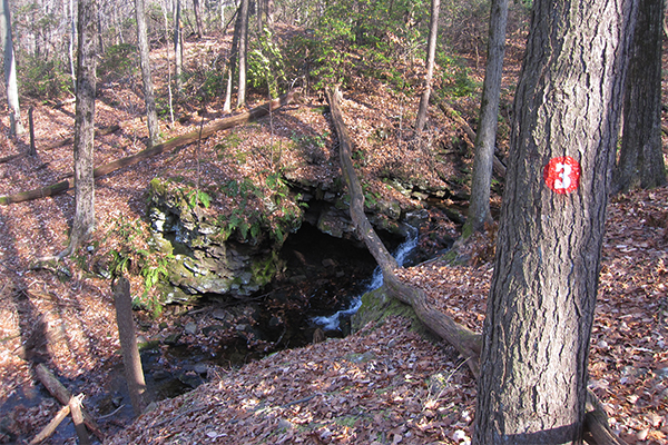 Gorge Cascade Falls, Connecticut