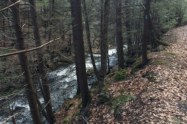 Hancock Brook Cascades, Connecticut