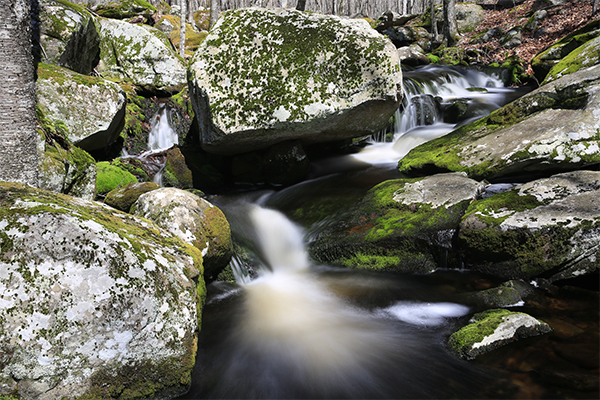 Lowden Brook Cascades, Connecticut