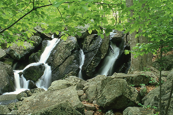 Negro Hill Brook Falls, Connecticut