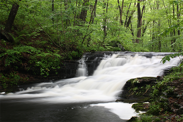 Tartia-Engel Falls, Connecticut