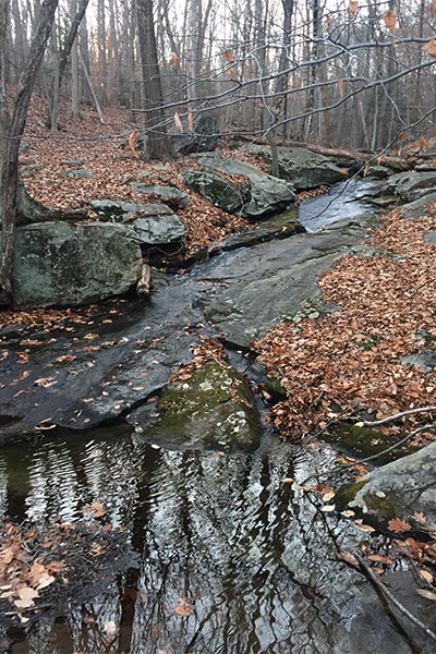 White Hills Brook Cascade, Connecticut