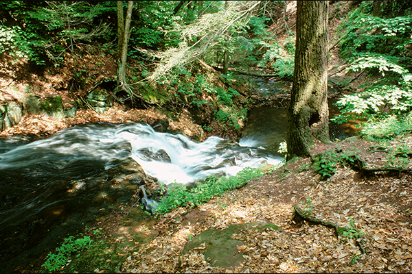 Wintergreen Falls, Connecticut Wintergreen Falls, Connecticut