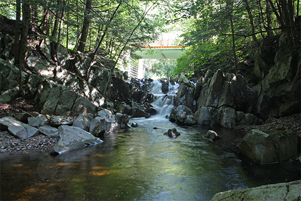 Cascade on South Brook, Massachusetts