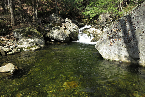 Cascades On Dunbar Brook, Massachusetts