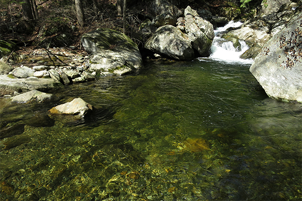 Cascades On Dunbar Brook, Massachusetts