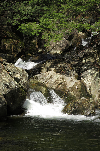 Cascades On Dunbar Brook, Massachusetts