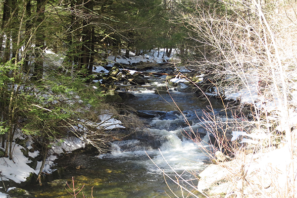 Cascades On The Buck River, Massachusetts