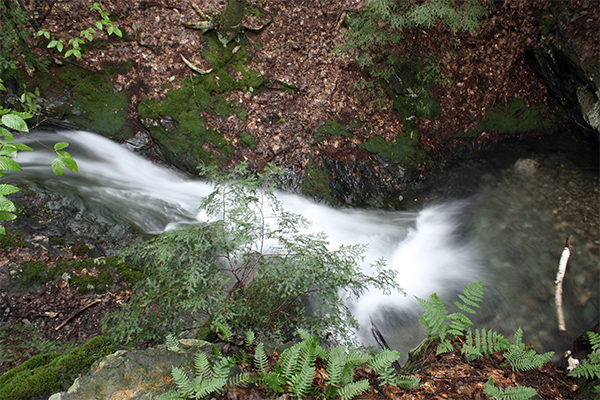 Daniel's Brook Chasm, Massachusetts