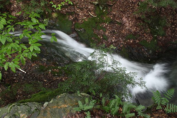 Daniel's Brook Chasm, Massachusetts