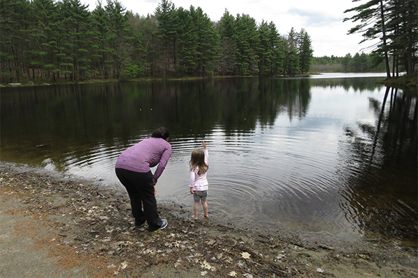 Lynne's Falls, Massachusetts Lynne's Falls, Massachusetts