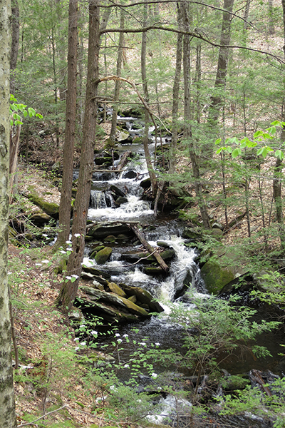 Lynne's Falls, Massachusetts Lynne's Falls, Massachusetts