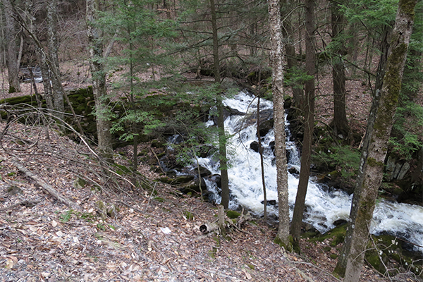 Mill Brook Cascades, Massachusetts