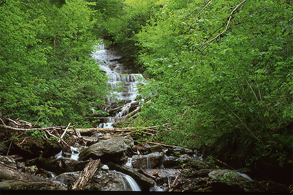 Money Brook Falls, Massachusetts