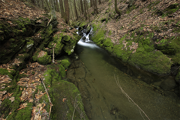 Stafford Brook Cascade, Massachusetts