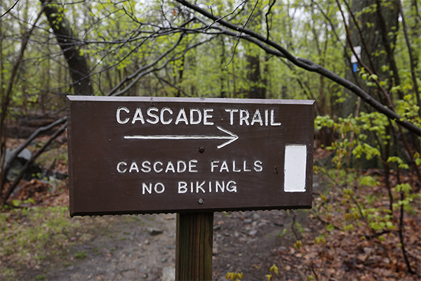 The Cascade, Melrose, Massachusetts