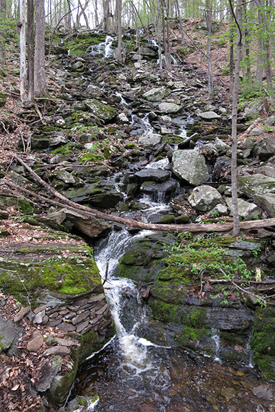 The Cascades-Worcester, Massachusetts The Cascades-Worcester, Massachusetts