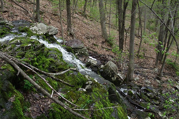 The Cascades-Worcester, Massachusetts The Cascades-Worcester, Massachusetts