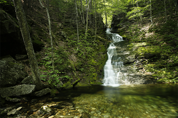 Bickford Slides, Maine