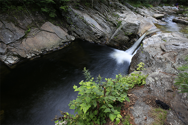 Frenchmen's Hole, Maine