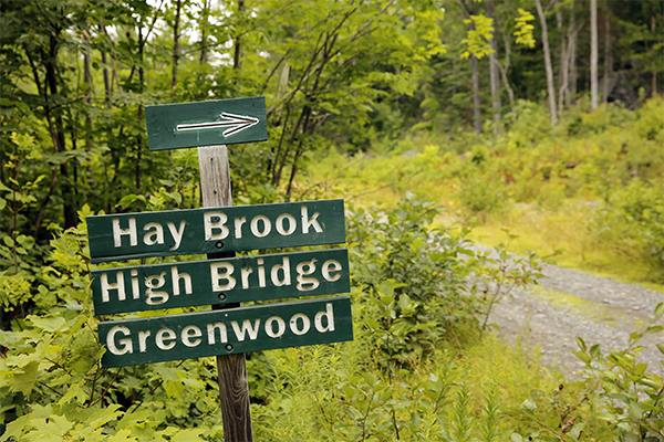 Hay Brook Falls, Maine