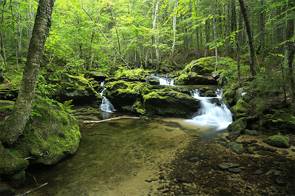 Jagolinzer Falls, Maine