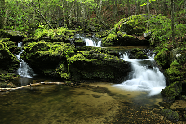 Jagolinzer Falls, Maine