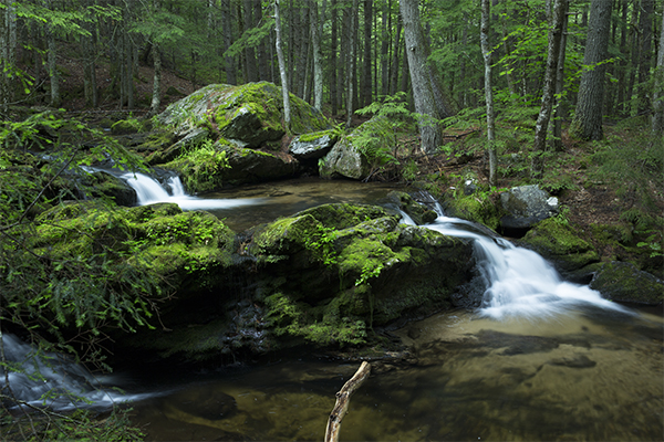 Jagolinzer Falls, Maine