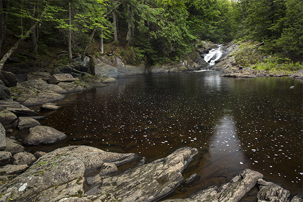 Little Wilson Falls, Lower Falls, Maine