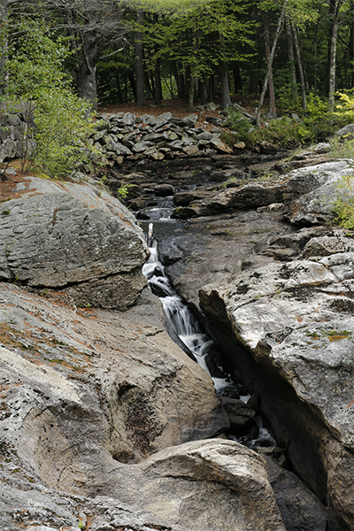 Snow Falls, Maine