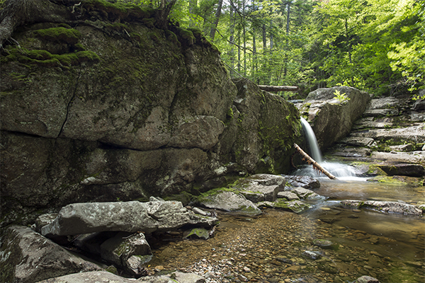 Basin Trail Cascades, New Hampshire