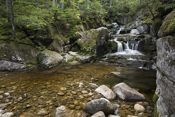 Basin Trail Cascades, New Hampshire