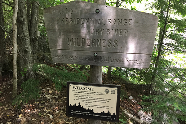 Dry River Falls, New Hampshire