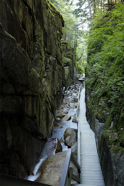 the boardwalk within The Flume, New Hampshire