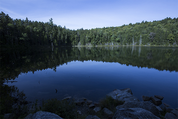 Falls Pond, which is only an easy walk beyond Rocky Gorge