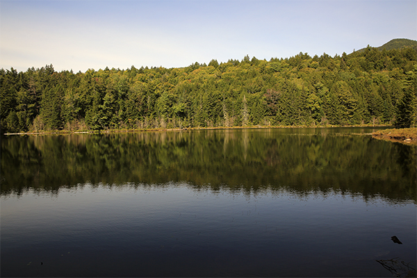 another shot of Falls Pond