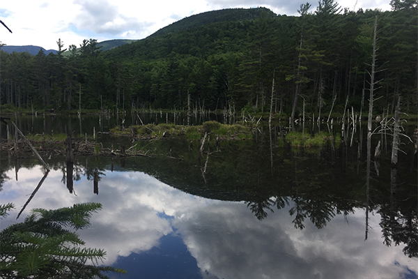 Thirteen Falls, New Hampshire