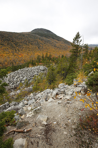 more views from the Ethan Pond Trail along the way to Thoreau Falls