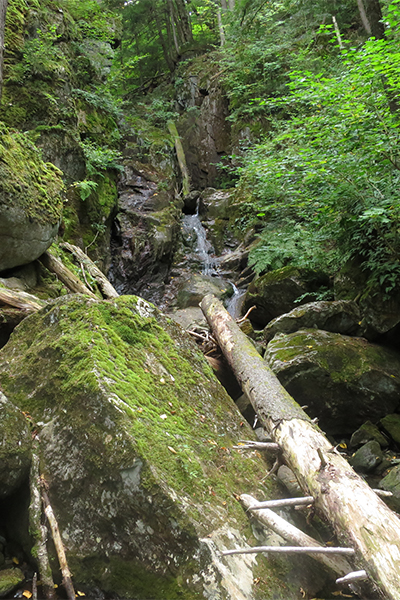 Proteus Fall in extremely low water, New Hampshire