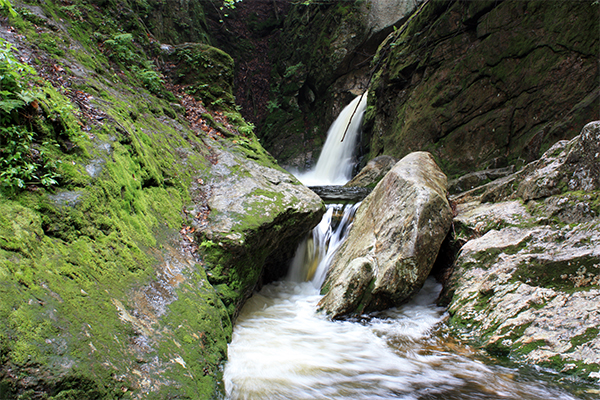 a view of Welton Falls from downstream