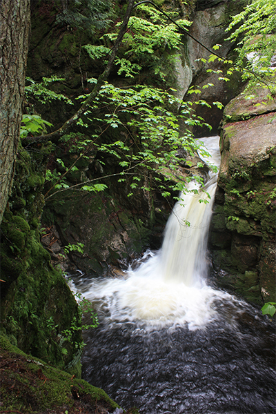 Welton Falls, New Hampshire