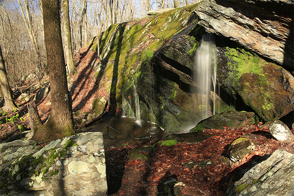 Cascade Brook Falls, Rhode Island