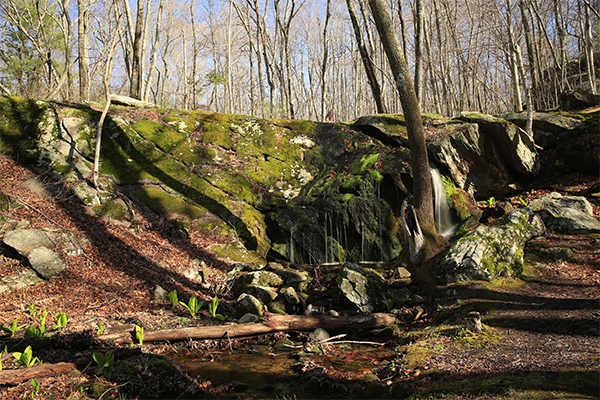 Cascade Brook Falls, Rhode Island