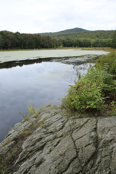 Abbey Pond Cascades, Vermont