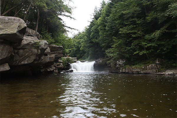 Bartlett Falls, Vermont