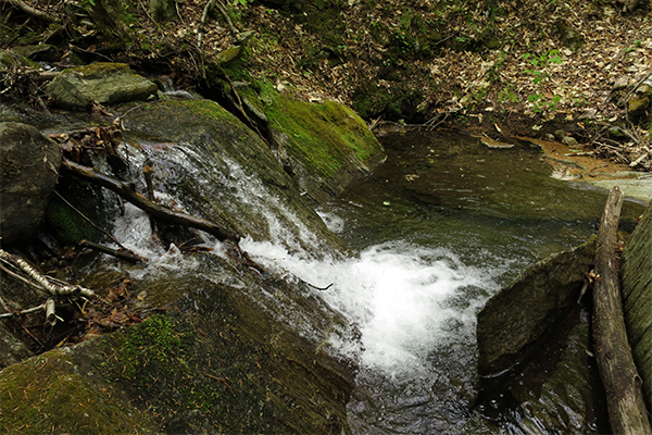 Branch Brook Falls, Vermont