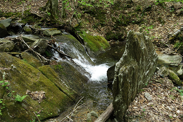 Branch Brook Falls, Vermont