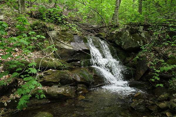 Branch Brook Falls, Vermont